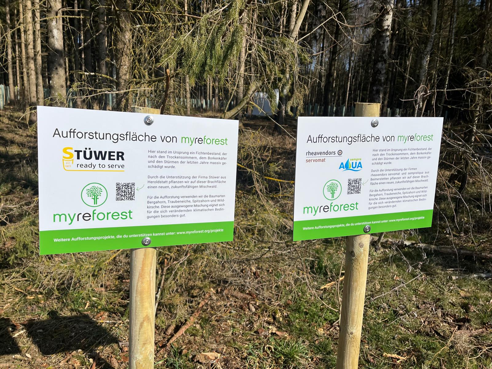 Rhea_Stüwer_2025.jpg
